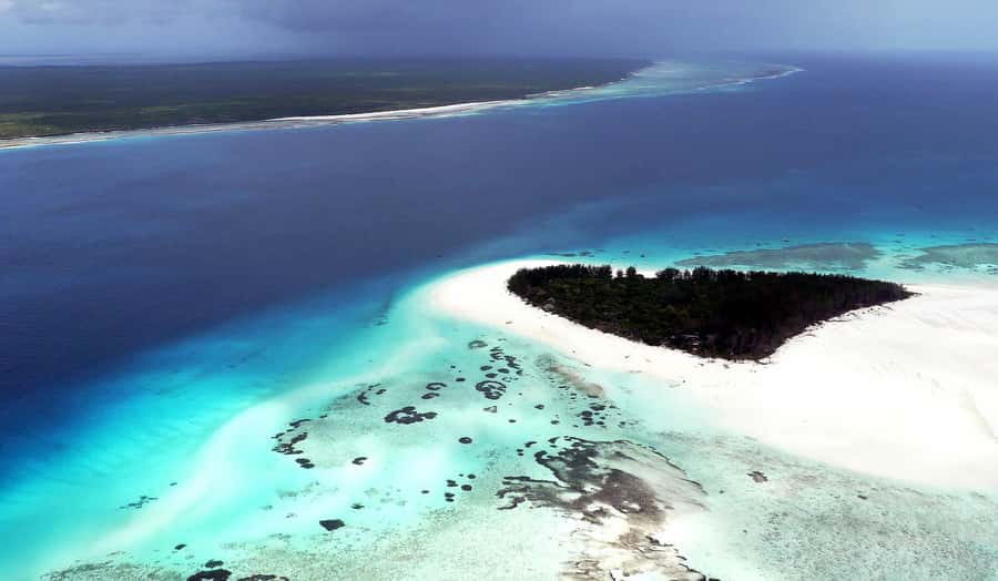 Zanzibar : Swim with dolphin + Snorkel mnemba coral Reef - Who will enjoy this morning most