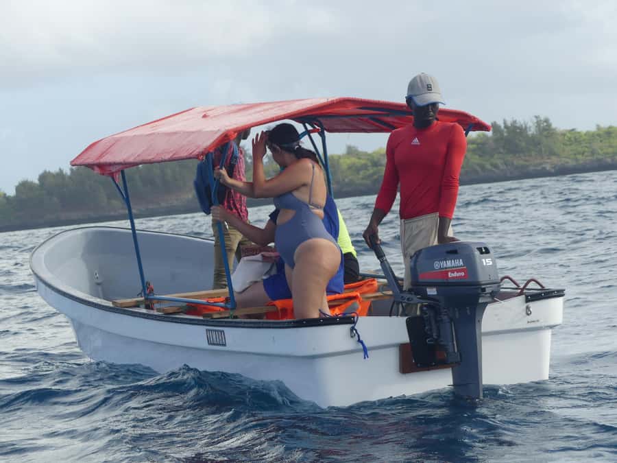 Zanzibar: Swimming with Dolphins and Snorkeling Private Tour - A closer look at the $120 price