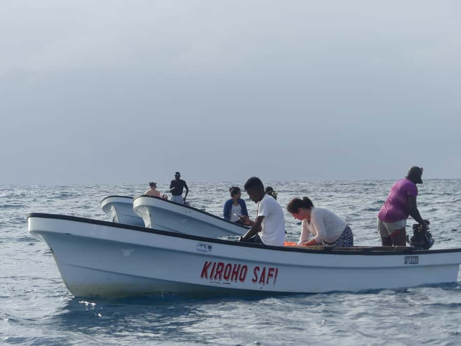 Zanzibar: Swimming with Dolphins and Snorkeling Private Tour - How to make the day better